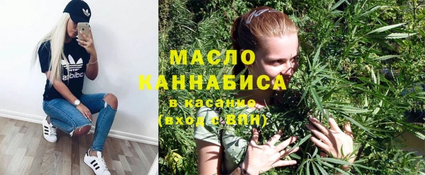 стаф Алзамай