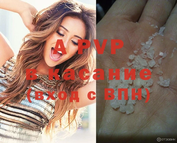 дживик Пересвет