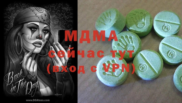 стаф Алзамай