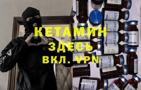 стаф Алзамай