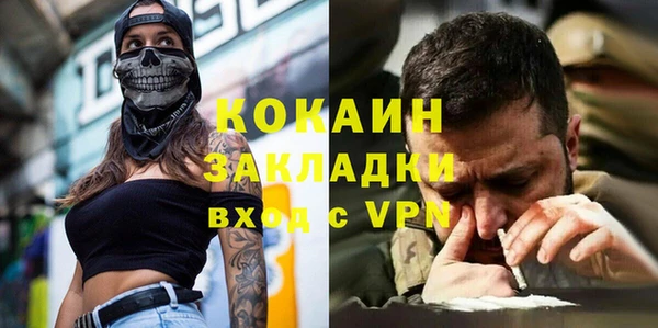 стаф Алзамай