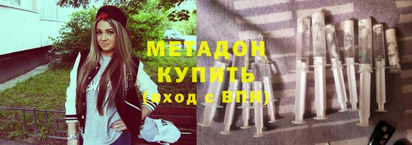 стаф Алзамай