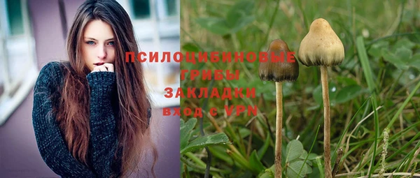 сатива Алексеевка